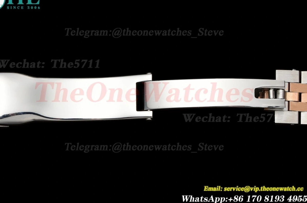 Silver SS GDF Dia RG Datejust MY8215 28mm 0130